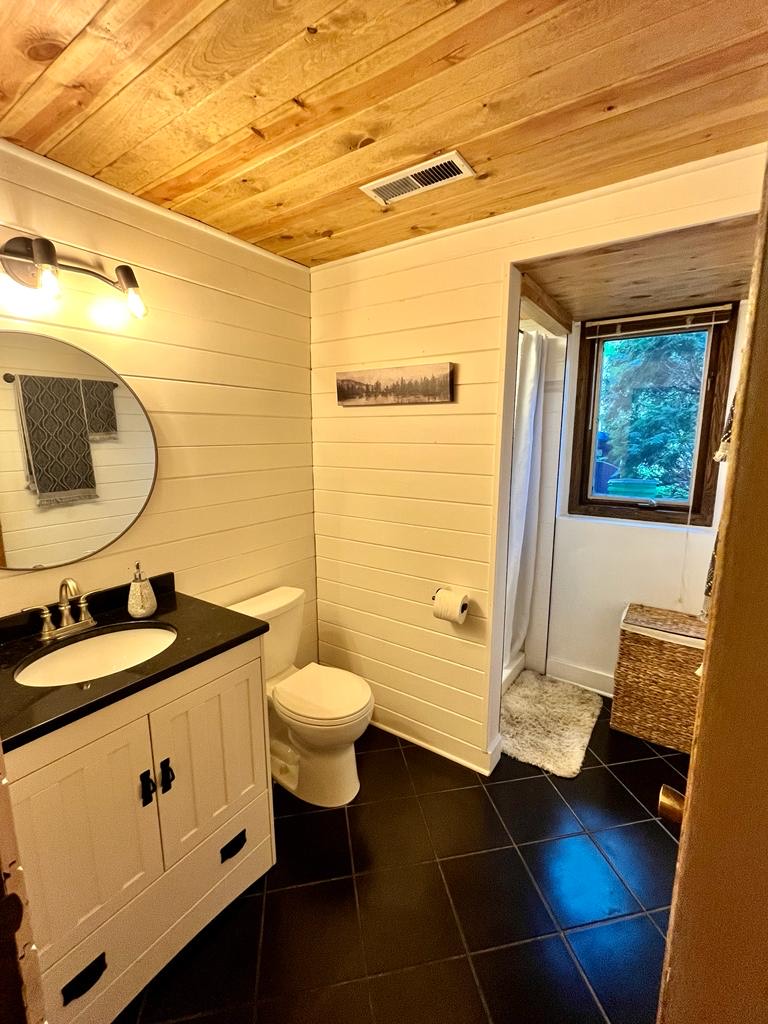 Rustic Bathroom Renovation by Mosaic Services